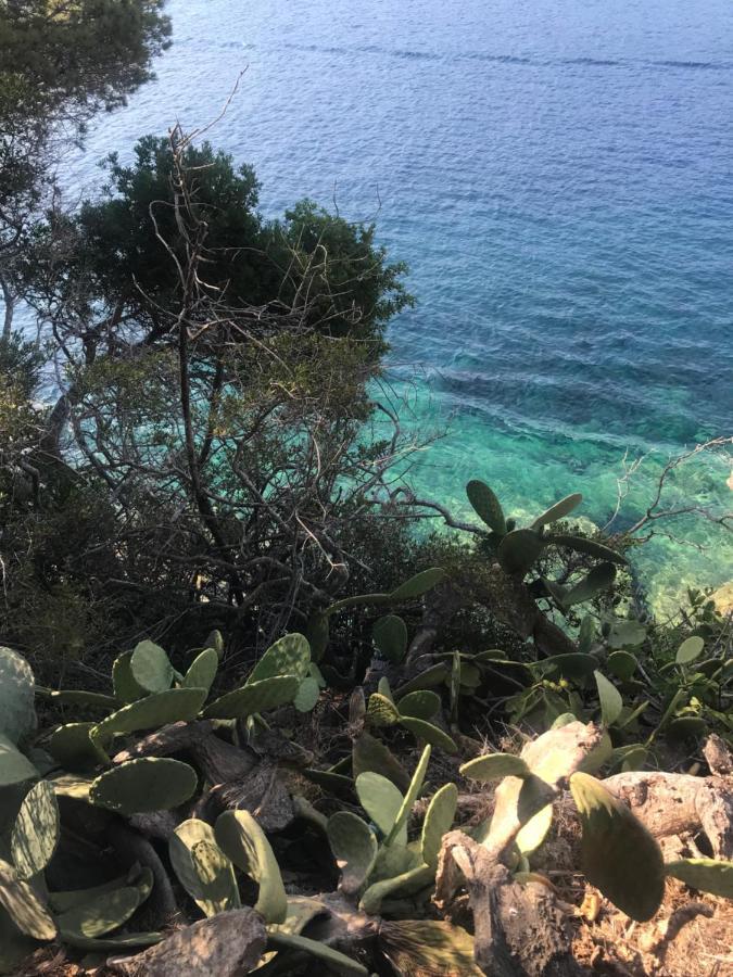 Апартаменты Il Polpoleo In Porto Azzurro Isola D'Elba Экстерьер фото